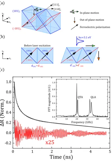 FIG. 1. (a) Three-dimensional view of the BFO pseudocubic unit cell with displacement vector associated with the longitudinal and shear photoinduced strains (orange and green arrows)