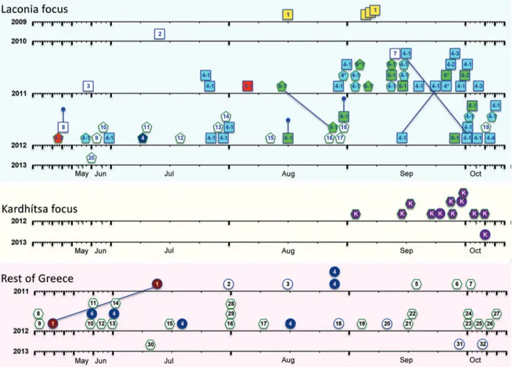 Figure 3. Temporal representation of the occurrence of Plasmodium vivax haplotypes, Greece, 2009–2013