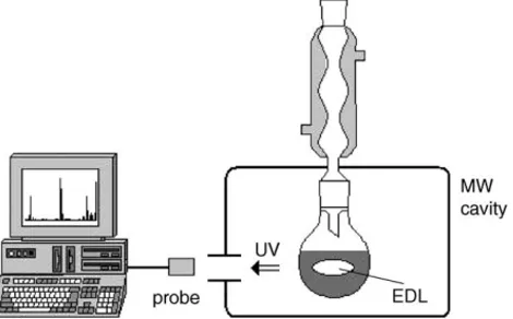 Fig. 1. Photochemistry in the MW field (adapted according to Kl´an et al.