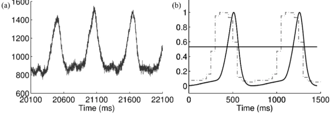 Figure 3. Singularity of anaesthetised mice pressure signal with motion phase detection Pressure signal recorded with the monitoring system (a); and normalised average pressure signal (continuous curve) and normalised histogram resulting from the image-bas
