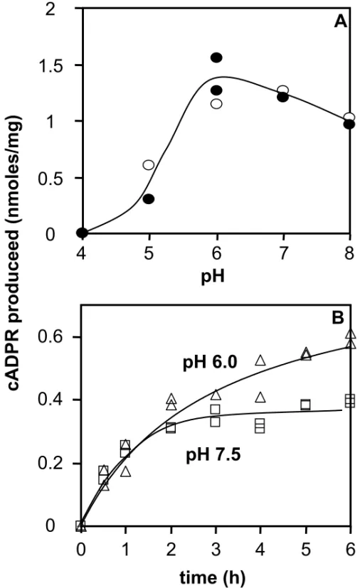 Figure 7  cADPR produceed(nmoles/mg) pH00.511.52456 7 8ABpH 6.0 pH 7.5 0 0.20.40.6 0 1 2 3 4 5 6