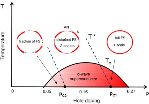 Figure 1. The superconducting dome is divided in three parts depending on the loss of coherent superconducting excitations (coherent Bogoliubov quasiparticles) along the principal axes of the Brillouin zone (antinodal region, AN): a full Fermi surface at h
