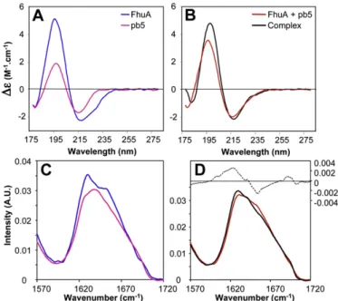 Fig. 1. SRCD (A,B) and ATR-FTIR (C,D) spectra of the isolated proteins and of the complex