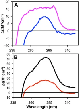 Fig. 5. Gel electrophoresis analysis of proteolysed pb5 alone or in complex with FhuA.