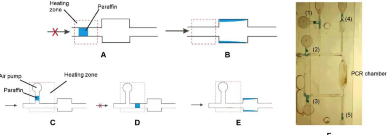 Figure  4.  (a–b)  Schematic  illustrations  of  a  close-open  paraffin  microvalve  design