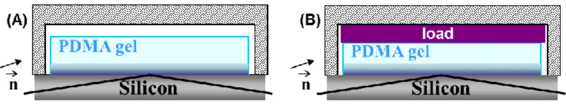 Figure 2. Set up for neutron reflectivity experiments. (A): the gel sample is put on top of the silicon  wafer in the presence of deuterium oxide in a closed chamber; (B): the gel sample is compressed of  about 10% on the silicon wafer in the presence of d