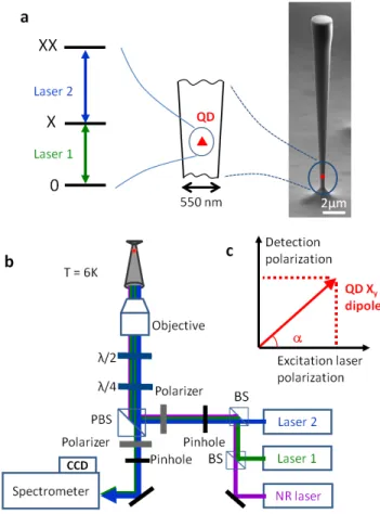 Figure 1. Sample and set-up. a, On the right is shown a scanning electron microscope image of the sample