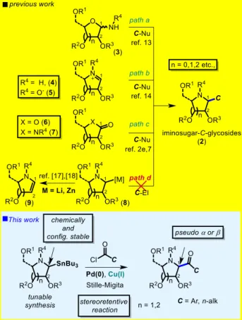 Figure 1. Chemical structures of iminosugar derivatives and  imino-C-glycosides. 