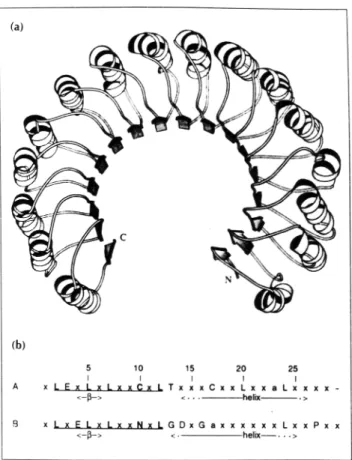 Figure 3. Structure of ribonuclease inhibitor (RI). (a) Ribbon diagram of the structure of porcine RI  generated using the program MOLSCRIPT