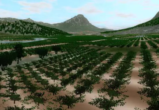 Figure 2. Visualization of a Mediterranean landscape as can be expected according to one of four  land-use change scenarios, with the Pic St Loup mountain in the background (Griffon et al., 2010)