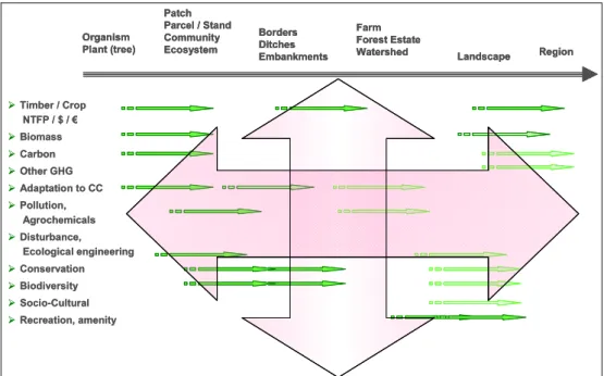 Figure 4. Examples of sustainable development objectives applied at different scales. 