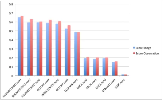 Fig. 3. Comparison of the methods: before and after combining the prediction for each image from a same plant observation.