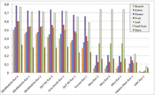 Fig. 4. Results detailed for each type of image category.
