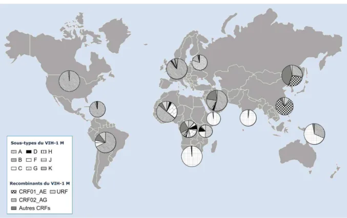 Figure 10. Distribution des sous-types et des formes recombinantes circulantes (CRFs) du VIH-1 M dans le  monde, en 2007 (modifié d’après Peeters et al., 2013)