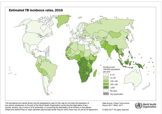 Figure 1. 1 Estimated TB incidence rates, 2016 (WHO, Global TB report 2017) 