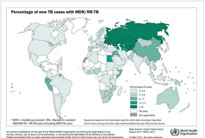 Figure 1. 2 Percentage of new TB cases with MDR/RR-TB (WHO, Global TB report 2017) 