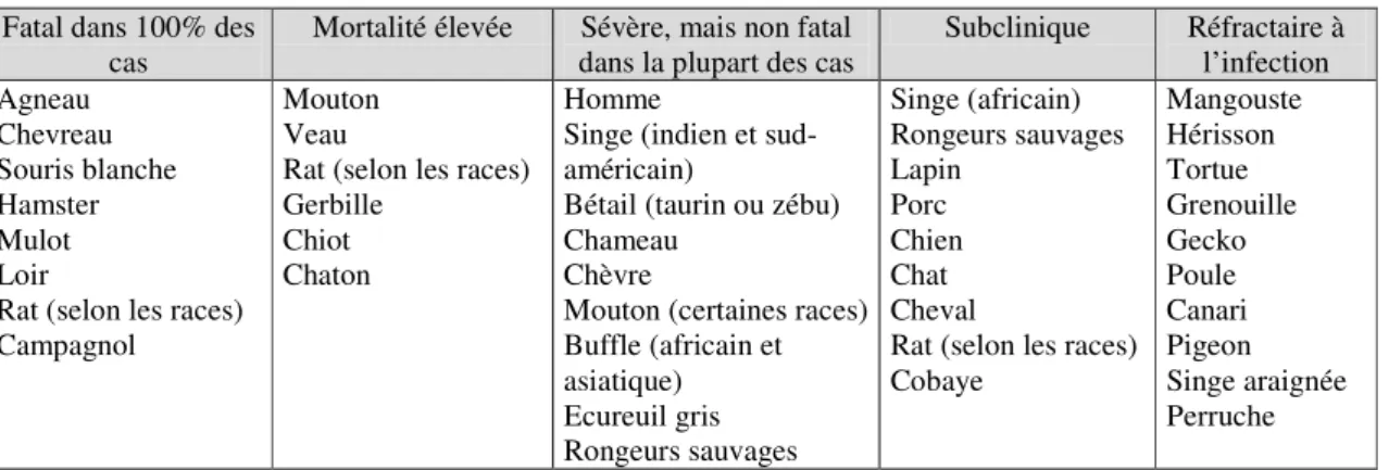 Tableau 1 : Hôtes potentiels du virus de la FVR, classés selon leur susceptibilité (d’après Shimshony et  Barzilai, 1983) 