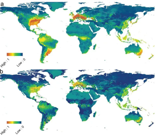 Figure 2.3 Suitability (a) and Risk (b) maps. Both maps use the same colour scale, from low value of  0 to high value of 1, indicating climatic suitability and risk of successful invasion, respectively