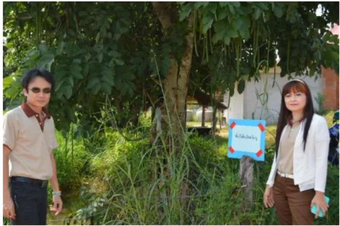 Figure 5. Warning panels about area contamination by leptospirosis made by  Mahasarakham Provincial Public Health Office