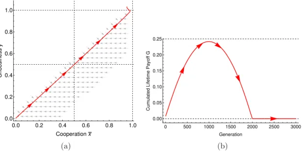 Figure 4.1: Analytical and numerical results of the adaptive dynamics model. (a) The grey arrows show the vector field of the selection gradient on both cooperation and choosiness
