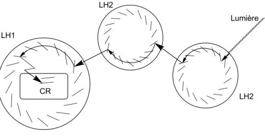Figure 1. Schéma des complexes LH1 et LH2 collectant l'énergie lumineuse et la  transférant au centre réactionnel (CR)