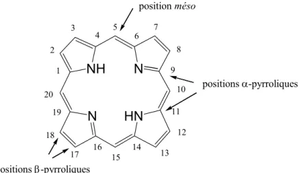Figure I. 11. Squelette du noyau porphyrinique et diverses positions des protons 