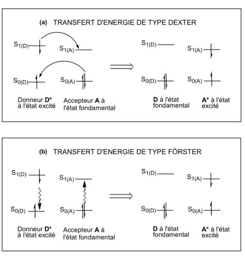 Figure 6 : Piégeage de l’état excité d’un chromophore donneur D* par un chromophore         accepteur A par transfert d’énergie de type (a) Dexter ou (b) Förster