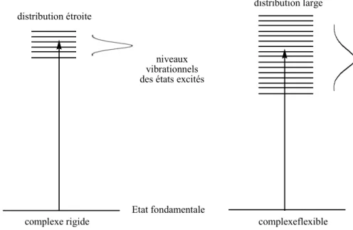 Figure 8 : L’illustration de l’élargissement de la bande de Soret dû à un couplage  excitonique faible