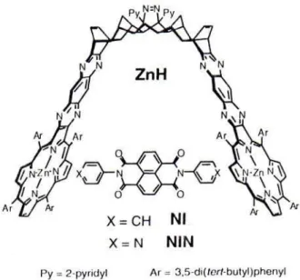 Figure 15 : Structure d’une bis porphyrine ZnH et des hôtes NIN et NI. 48