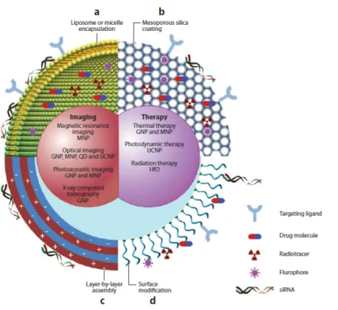Figure I.6 – Schematic representation of multifunctional nanoparticles for drug delivery and diagnostics.