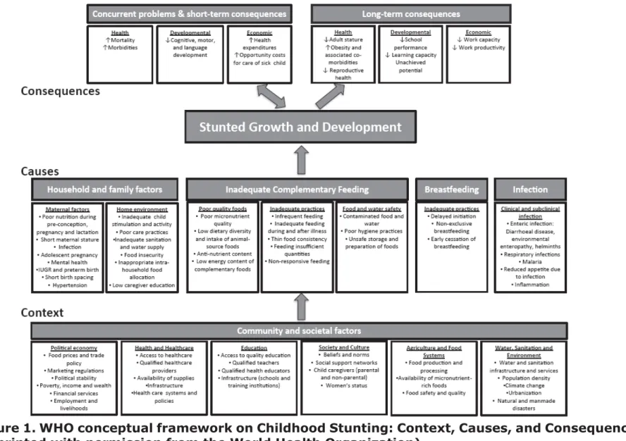 Figure 1. WHO conceptual framework on Childhood Stunting: Context, Causes, and Consequences  (reprinted with permission from the World Health Organization) 