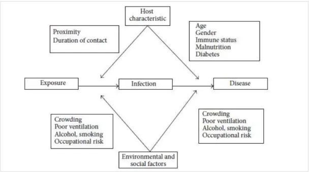 Figure 2. Risk-factors of TB infection and disease, from Narasimhan P, et al. 2013 [14]