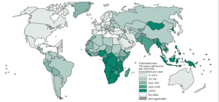 Figure 4. Global trends in the estimated number of deaths caused by TB and HIV (in millions), 2000-2015, from WHO TB  report, 2016