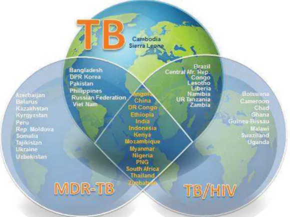 Figure 5. The three high burden countries’ (HBC) lists (TB, MDR-TB and TB/HIV)  of 30 countries each that will be used  by WHO 2016–2020,   from WHO, 2015