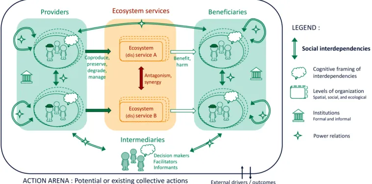 Fig. 1. Framework of analysis of social interdependencies underlying ecosystem services dynamics.