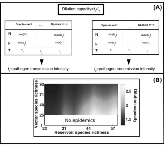 Figure 4: Influence of the feedback between reservoir and vector community richness on dilution capacity