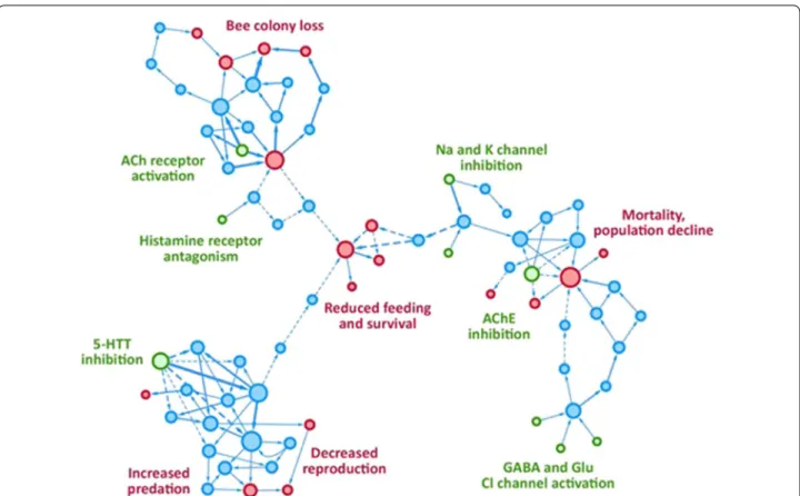 Fig. 4  AOP network showing all AOPs relevant to eco‑neurotoxicity that are available in the AOP‑Wiki (https ://aopwi ki.org; Accession date: April  30, 2018; AOP numbers 16, 77, 78, 79, 80, 82, 87, 88, 89, 90, 91, 93, 94, 95, 97, 98, 99, 113, 160, 161, 17
