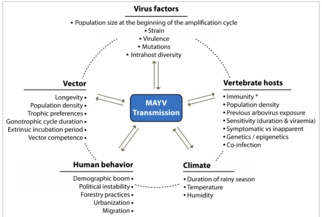 Figure 7. Schematic diagram showing the ecological factors that affect MAYV transmission