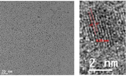 Figure 2.50: HRTEM images of L5-stabilized Rh NPs at different magnifications. 