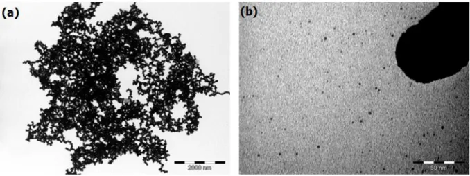 Figure 2.27: TEM images of RhPPh 3  NPs ([L]/[Rh]=0.2 eq.) at two different magnifications