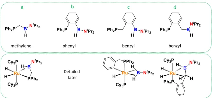 Figure 1-22: Series of bifunctional phosphino~aminoborane ligands recently developed in the team  (top) and subsequent coordination on RuH 2 (H 2 ) 2 (PCy 3 ) 2  (bottom) 