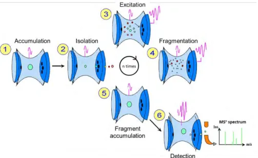 Figure II.B-3: Schematic view of the ion trap operation for successive fragmentation mode (MS n )