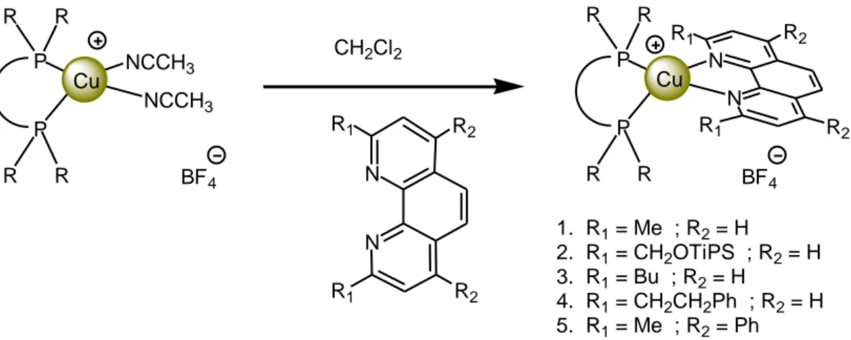 Figure 3 : Formation des complexes hétéroleptiques du cuivre (I) de type [Cu(PP)(NN)][BF 4 ]  Chaque  intermédiaire  est  traité  avec  des  dérivés  de  la  1,10-phénanthroline  substitués    dans  les  positions  2-9,  4-7  ou  2-4-7-9