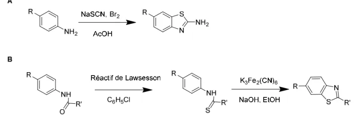 Figure 3. A : Synthèse de la 2-amino-BzT à partir de l'aniline. B : Synthèse du noyau BzT  à partir d’acétanilide