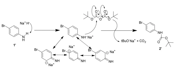 Figure 14. Mécanisme réactionnel de la protection au Boc avec l’utilisation du NaH. 
