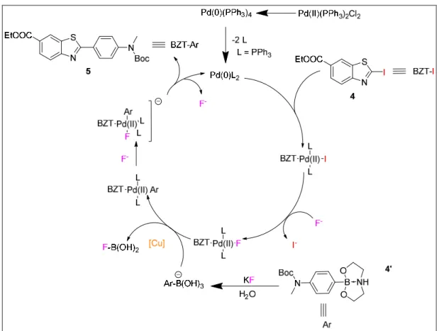 Figure 22. Cycle catalytique du Pd dans la SMR. A gauche du cycle, l’intervention du fluor dans l’isomérisation du complexe de Pd