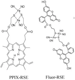Figure I-43 : Les complexes de fer à ligand nitrosyle possédant des propriétés ADP. 