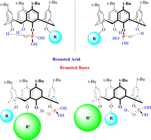 Fig. 4.1. General view of the target phosphoric acid with the possibility to vary  the amphiphilic properties