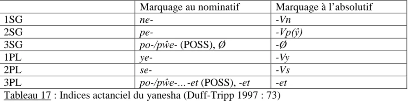 Tableau 17 : Indices actanciel du yanesha (Duff-Tripp 1997 : 73) 