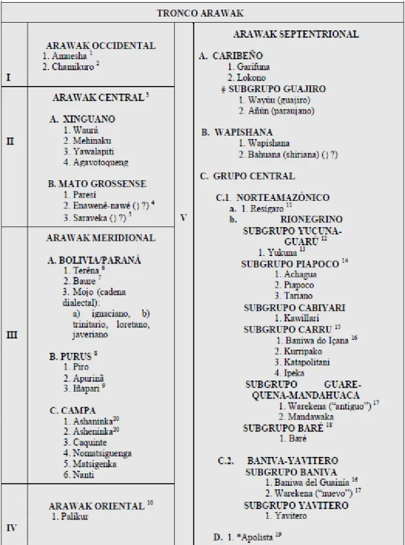 Tableau 12 : Classification de la famille arawak (Fabre 2005) 